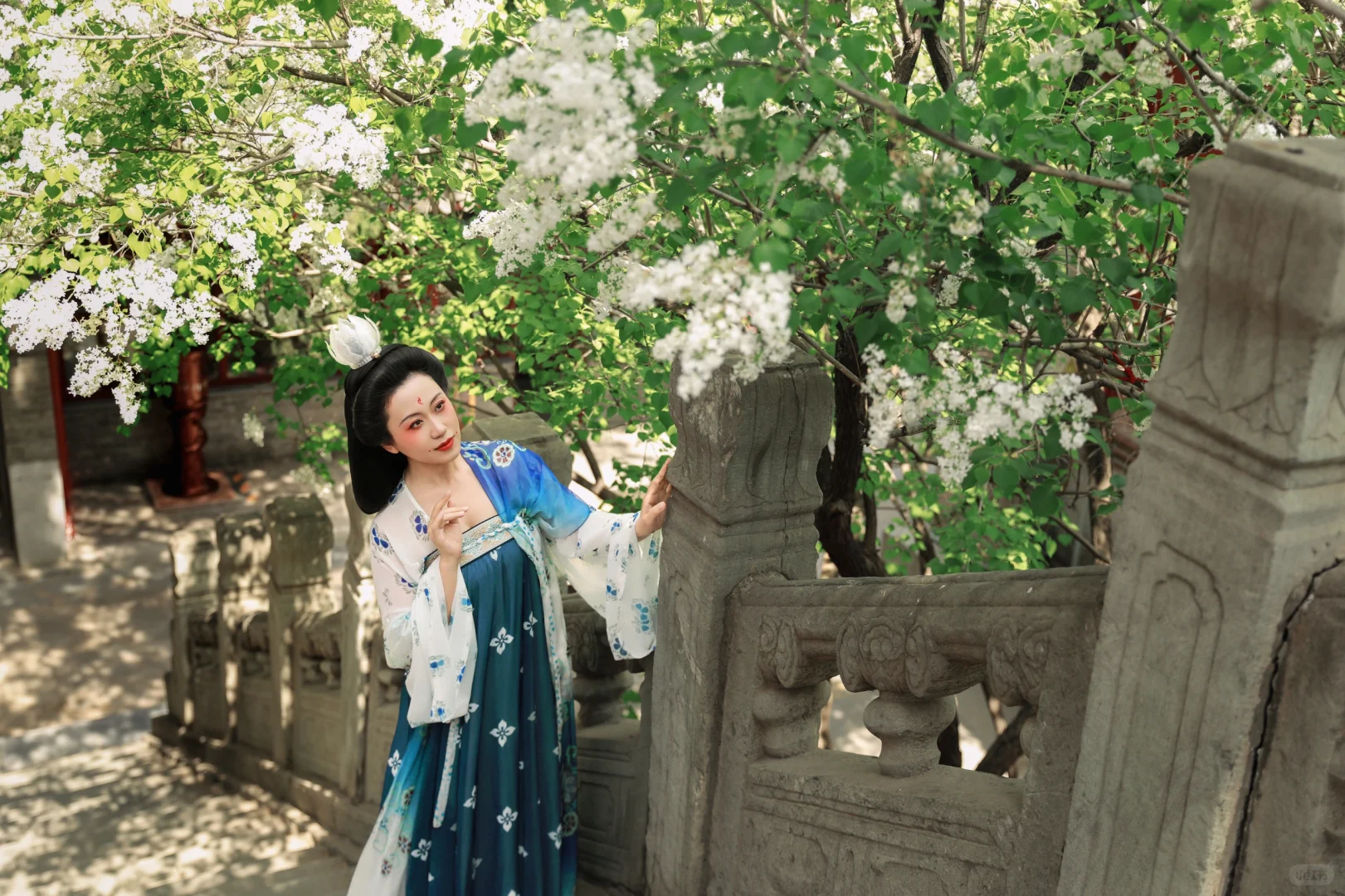 京城花事‖春日戒台寺 四月丁香开