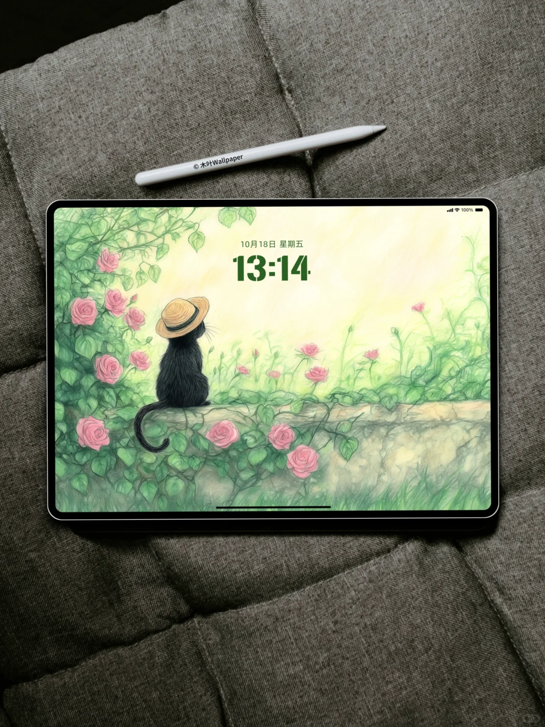 玫瑰花墙｜P107