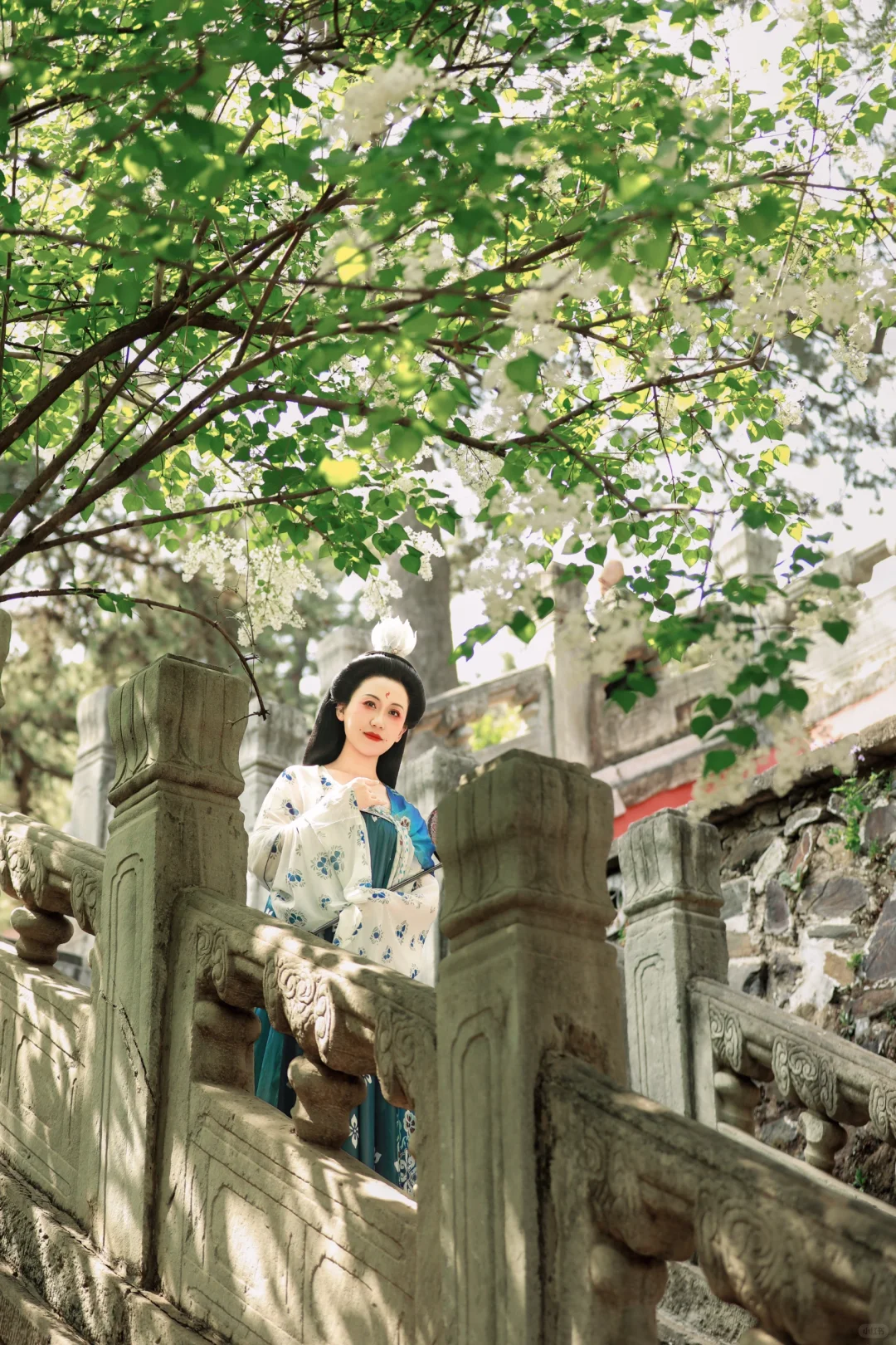 京城花事‖春日戒台寺 四月丁香开