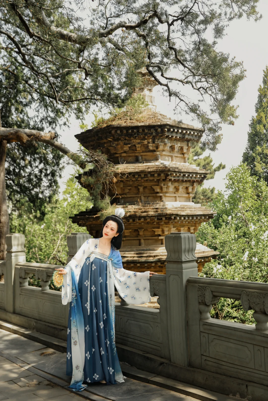 京城花事‖春日戒台寺 四月丁香开