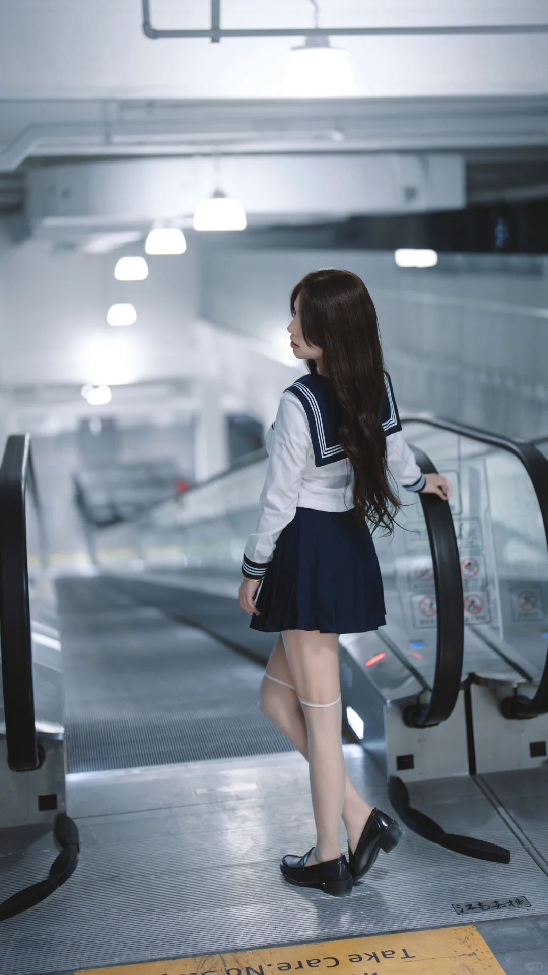 迷路小猫