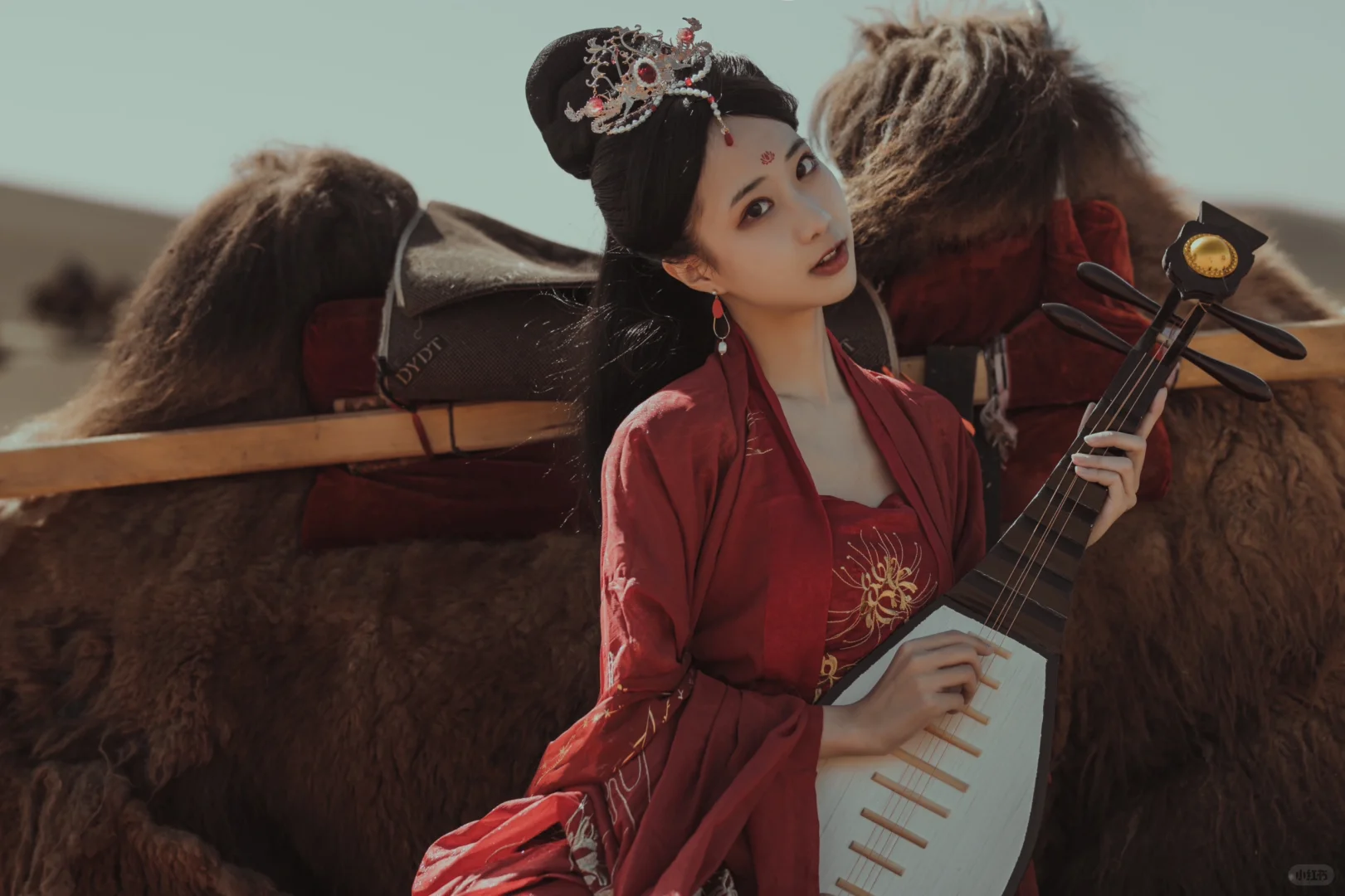 赤帝子丨我为你唱一曲 谁抚琴配相思成疾️