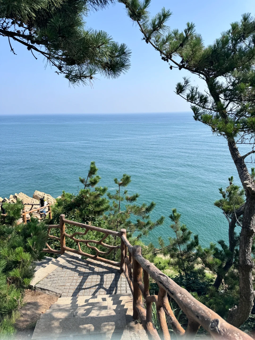 美照酷酷往外发 踩的坑你们是一点都不说啊