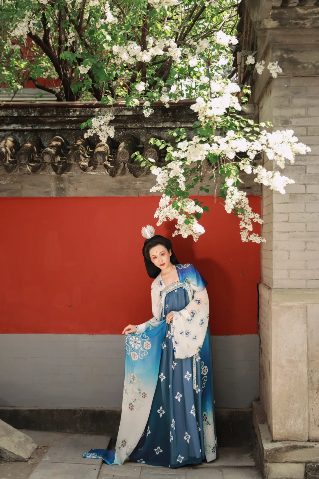 京城花事‖春日戒台寺 四月丁香开