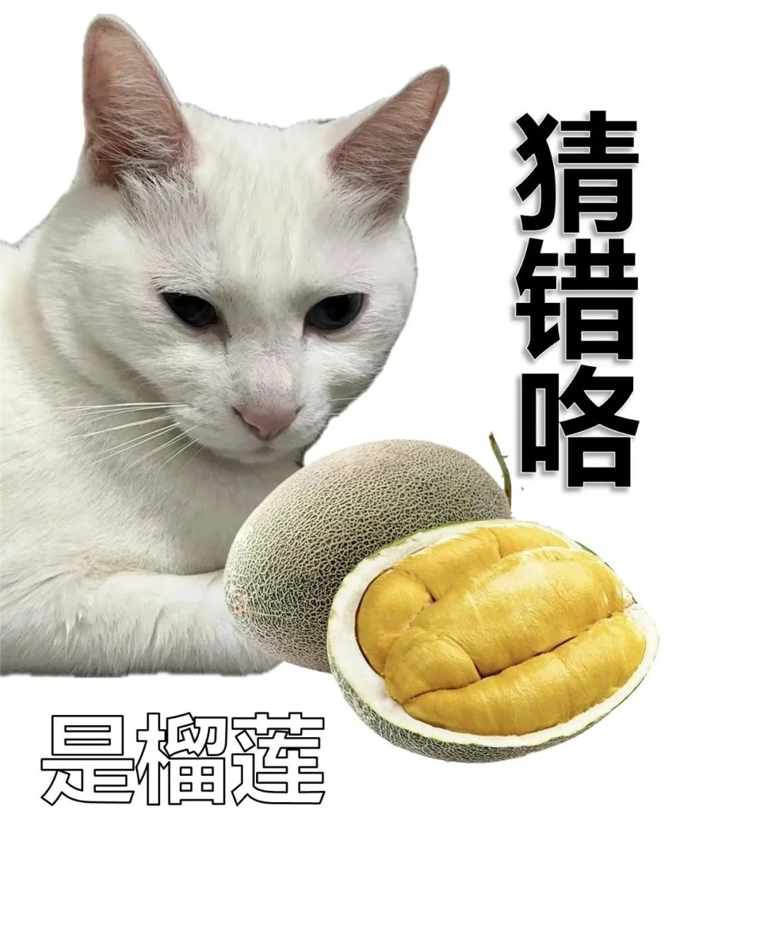 套路表情包，用了都说好