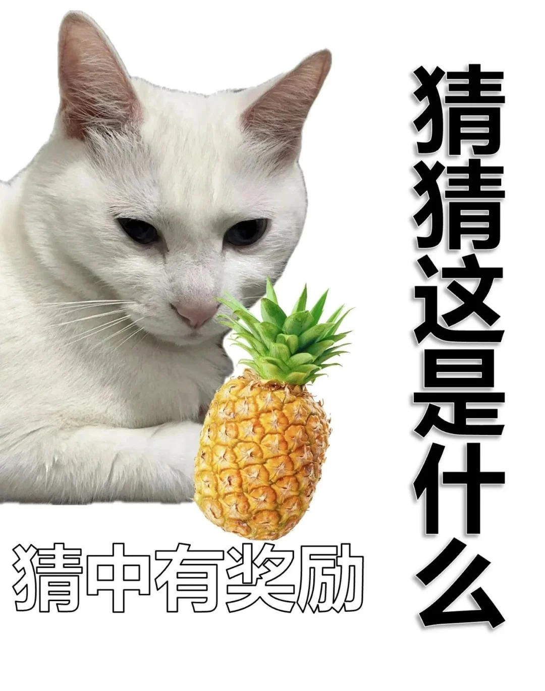 套路表情包，用了都说好
