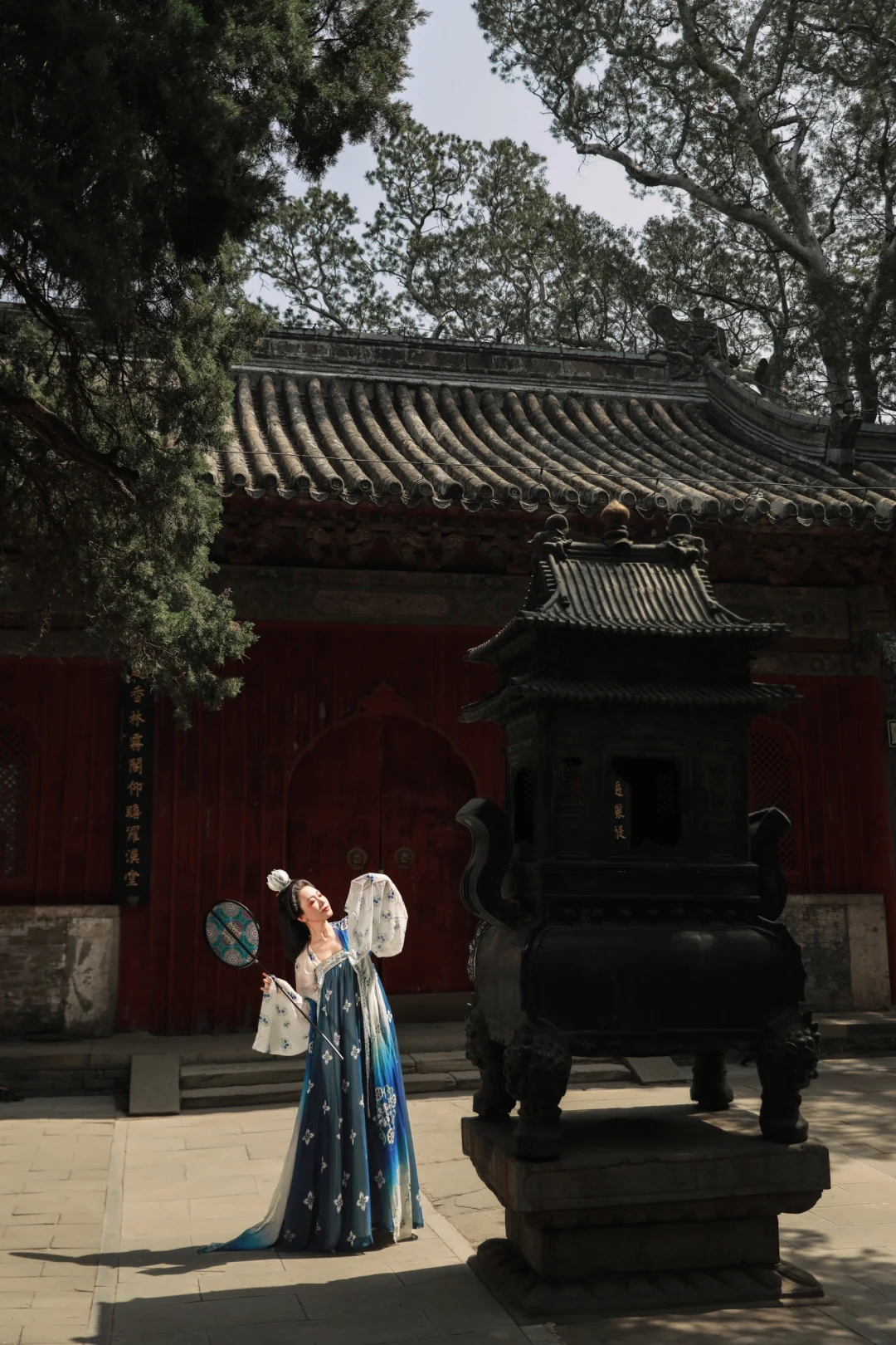 京城花事‖春日戒台寺 四月丁香开