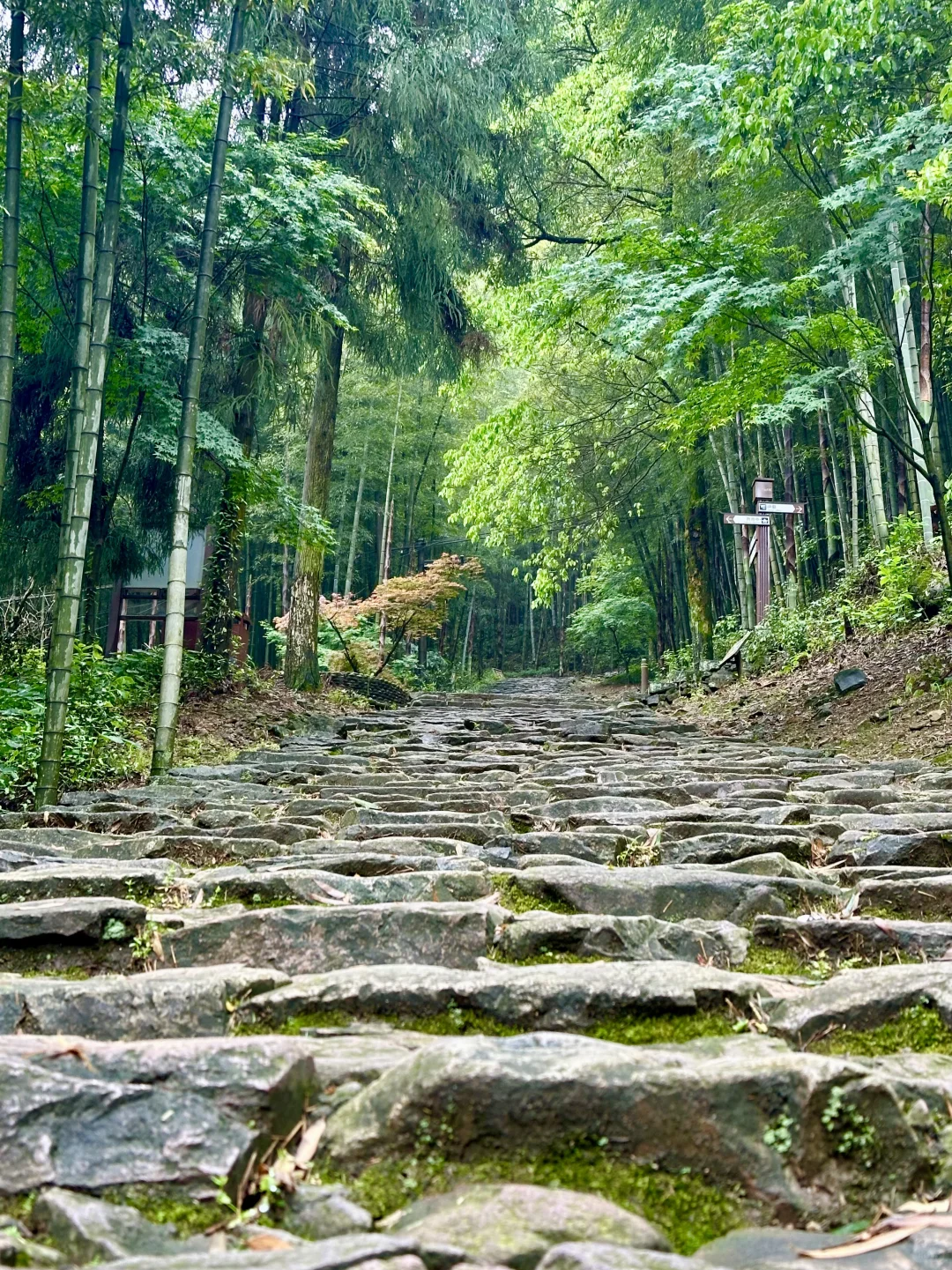 闯入衢州的丹霞仙境｜⛰️