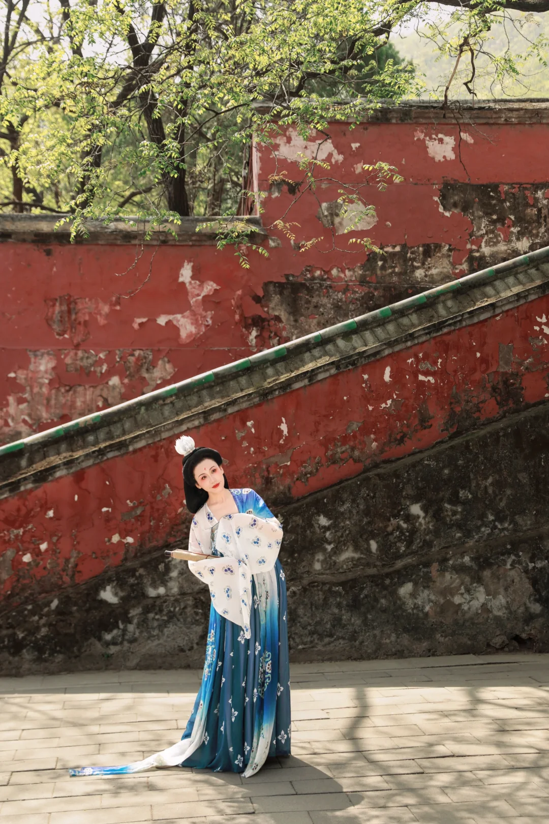 京城花事‖春日戒台寺 四月丁香开