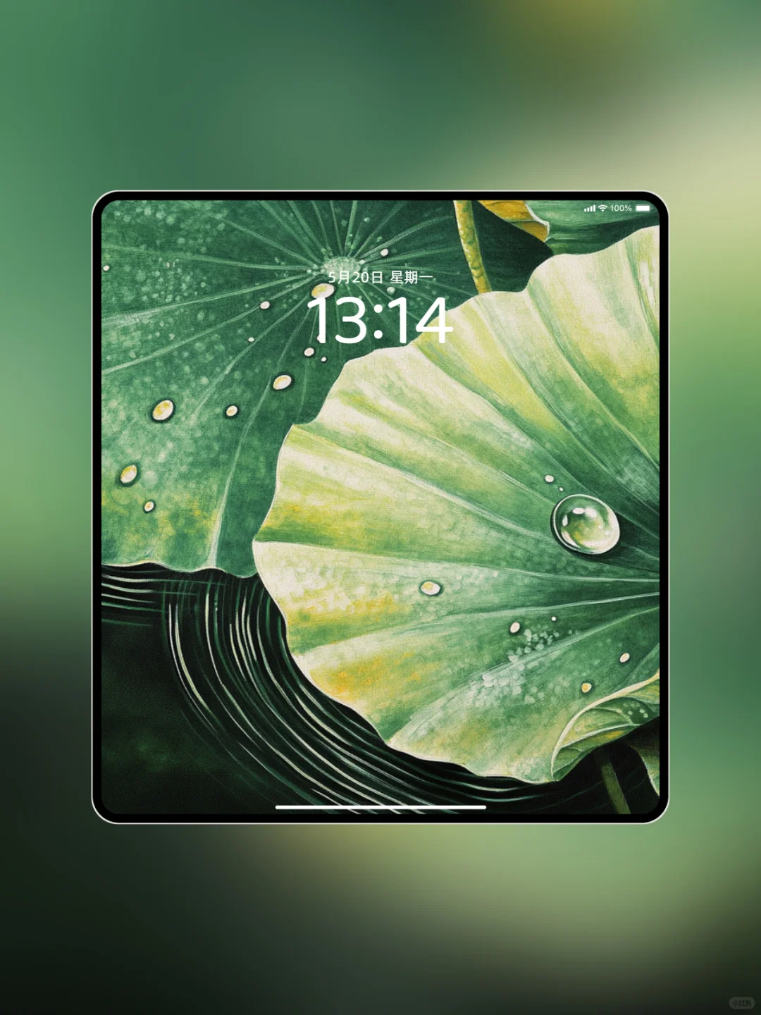 074壁纸 | 风吹荷叶