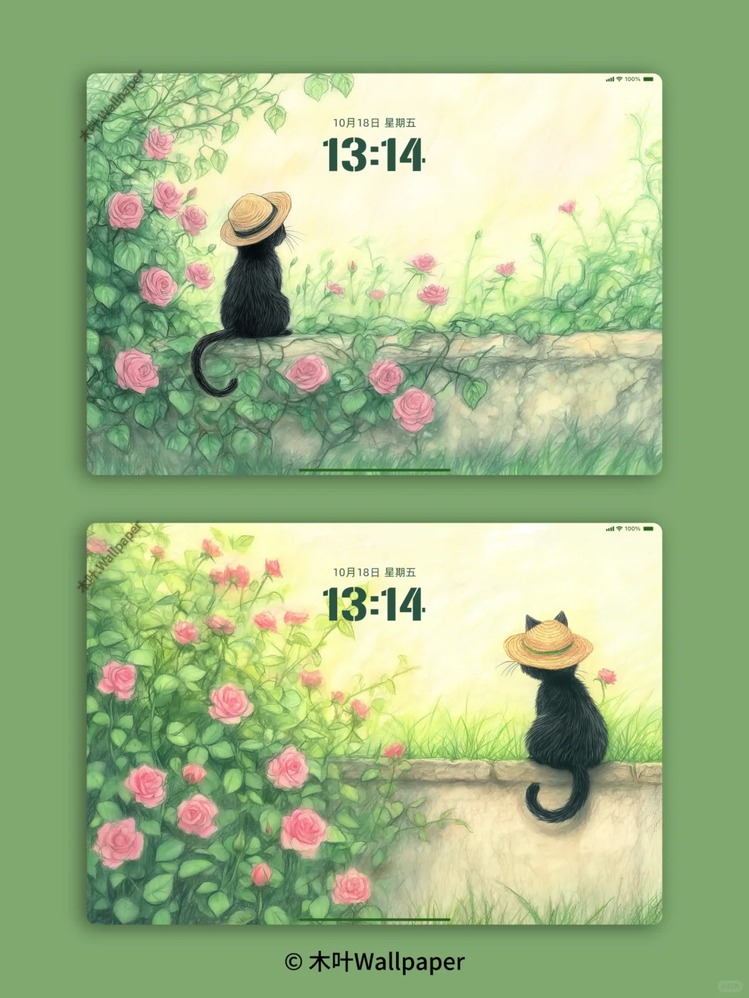 玫瑰花墙｜P107