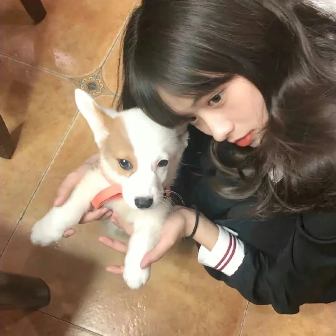 女生头像·慵懒的小猫🐈