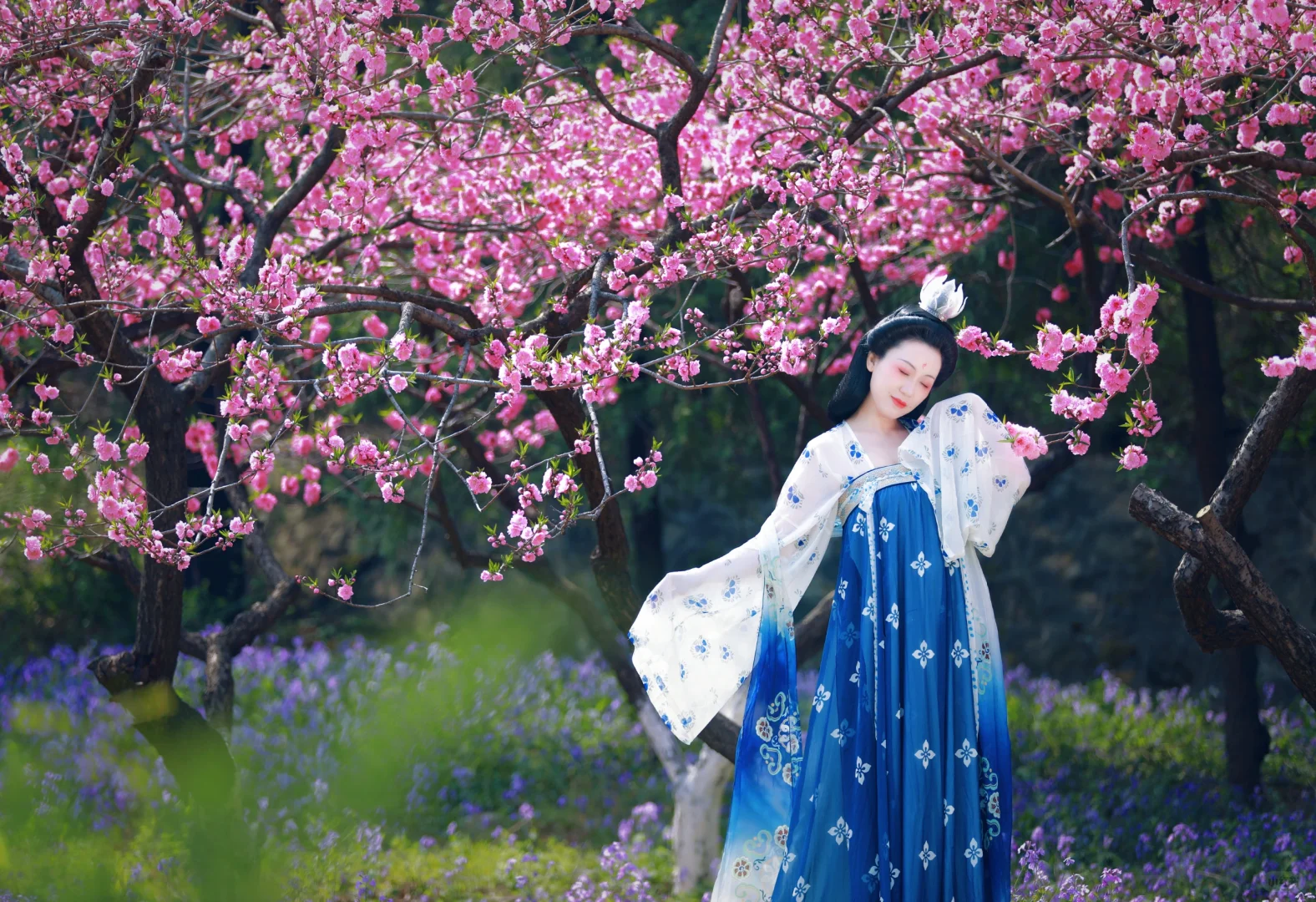 京城花事‖春日戒台寺 四月丁香开