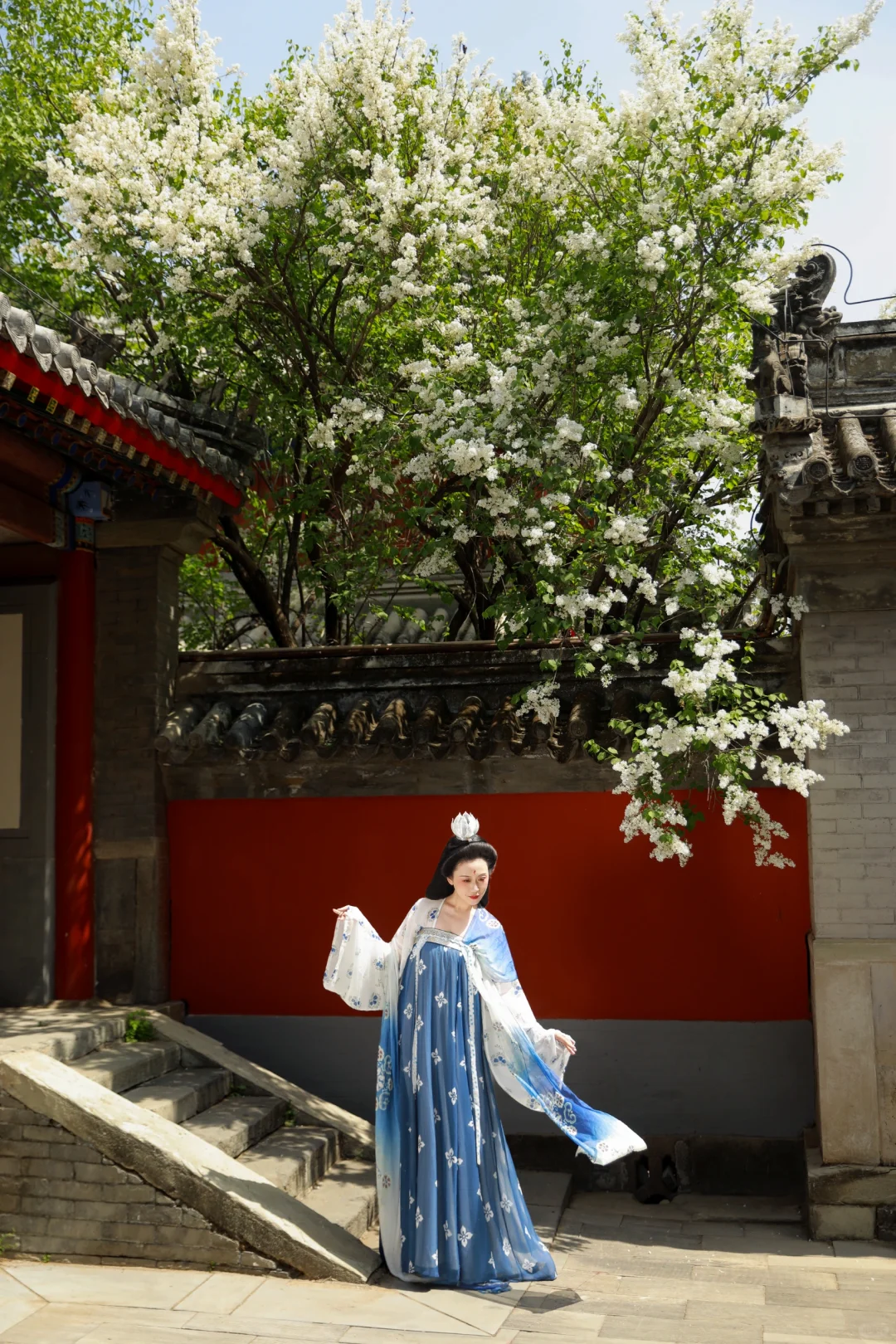 京城花事‖春日戒台寺 四月丁香开