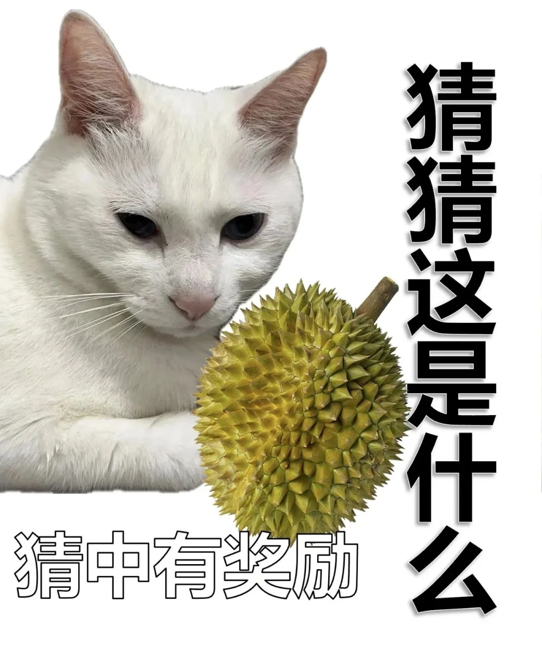套路表情包，用了都说好