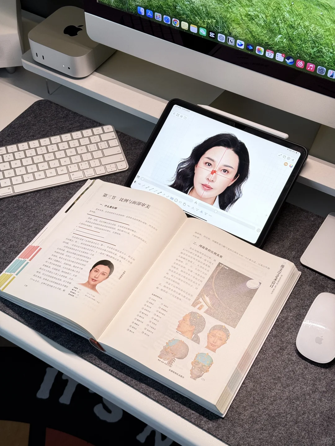 自学面部美学设计师的第二天，比例很重要