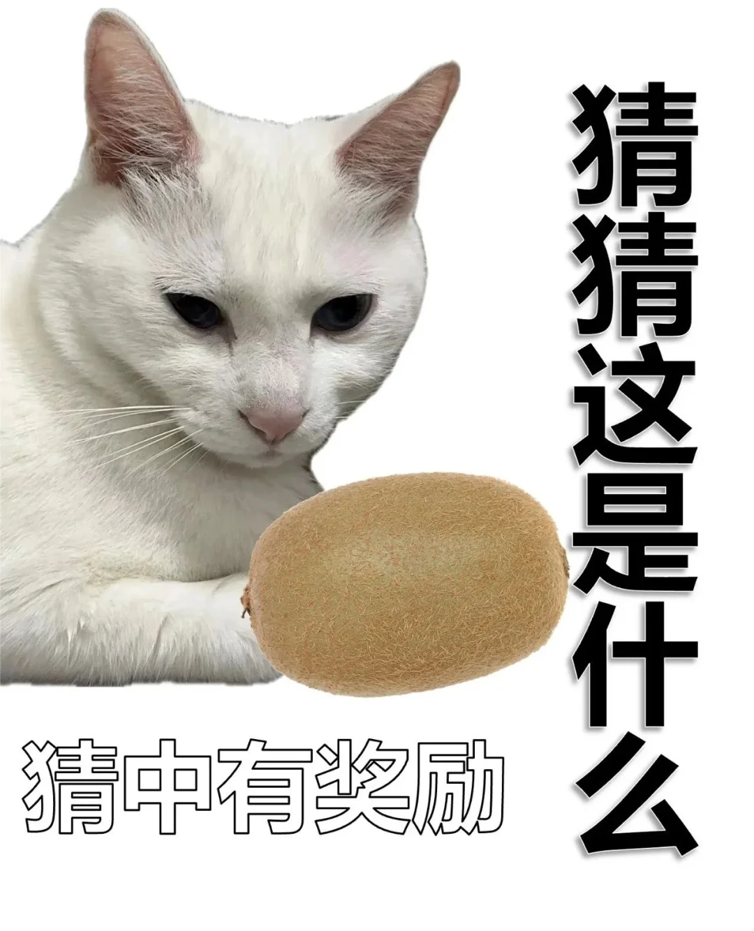 套路表情包，用了都说好