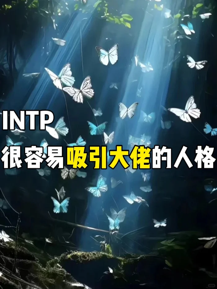 很容易吸引大佬的人格：INTP