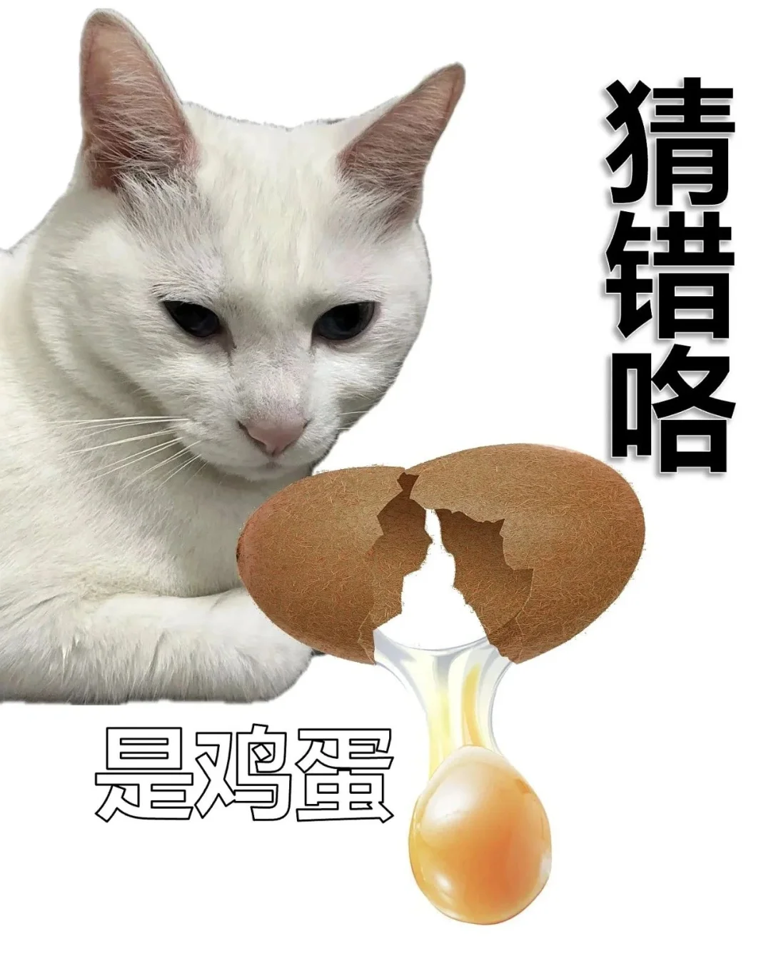 套路表情包，用了都说好