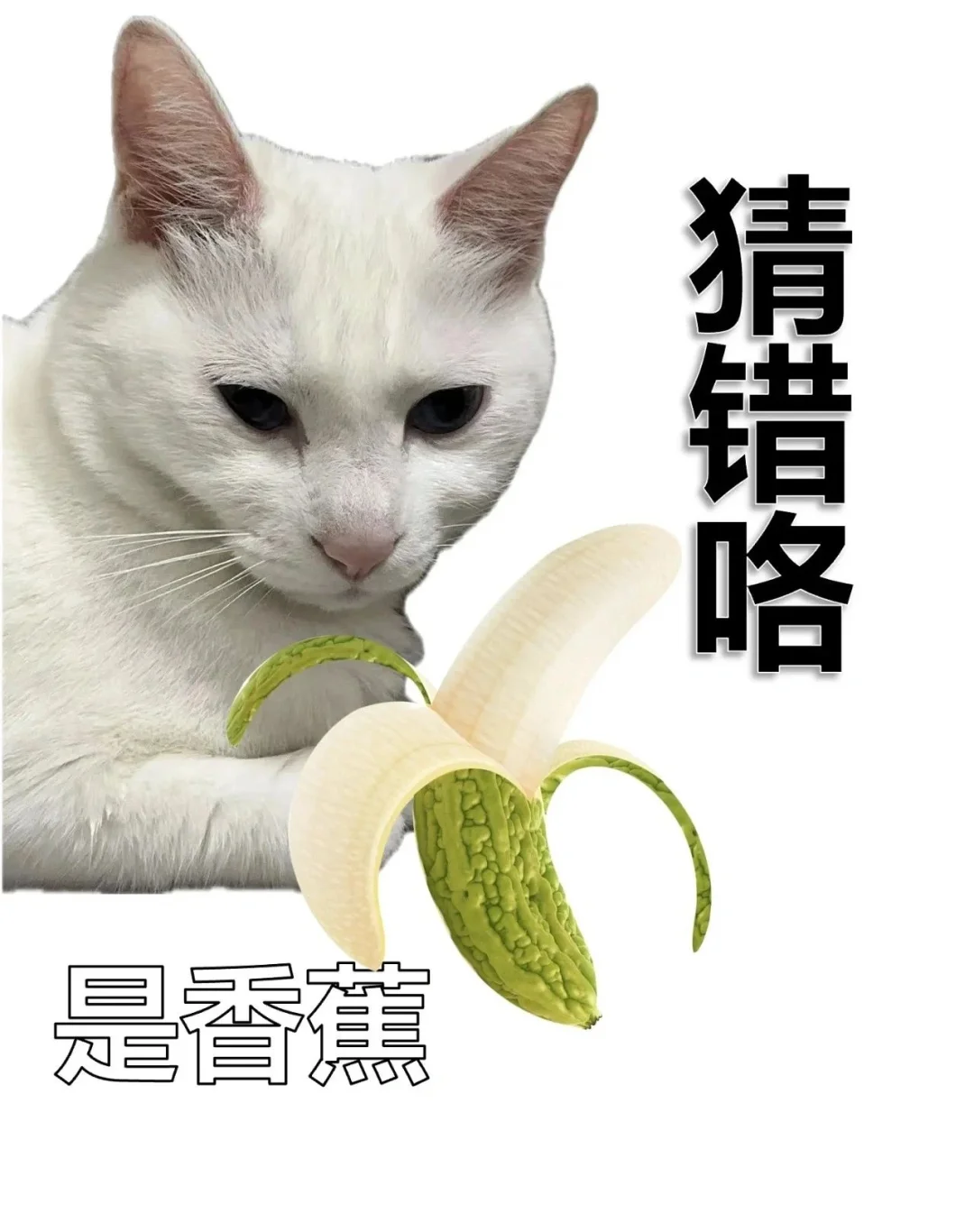 套路表情包，用了都说好