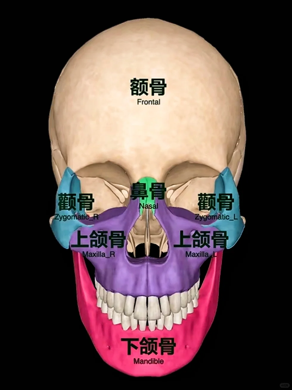 徒手骨雕原理