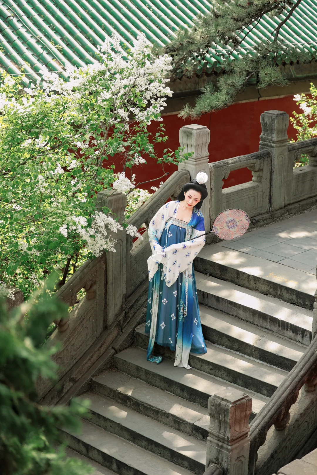 京城花事‖春日戒台寺 四月丁香开