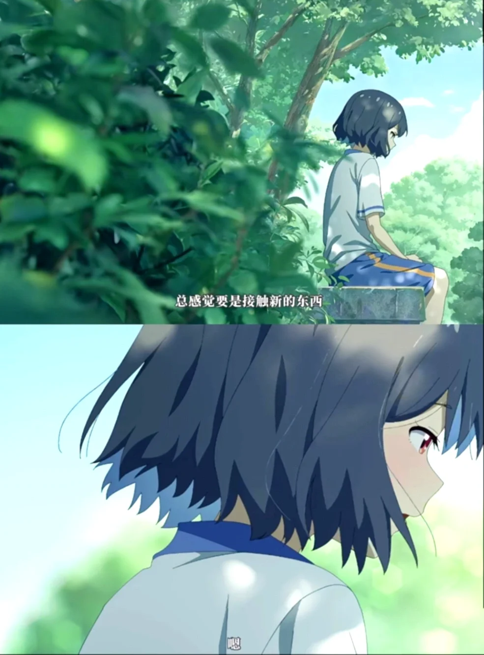 必看国创动画，哭了😭