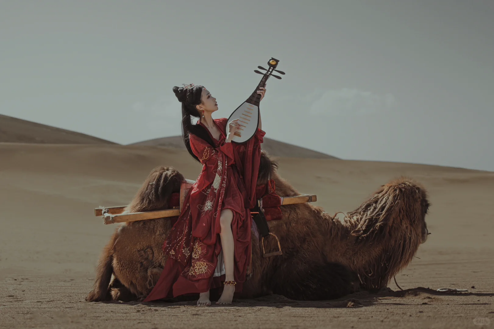 赤帝子丨我为你唱一曲 谁抚琴配相思成疾️