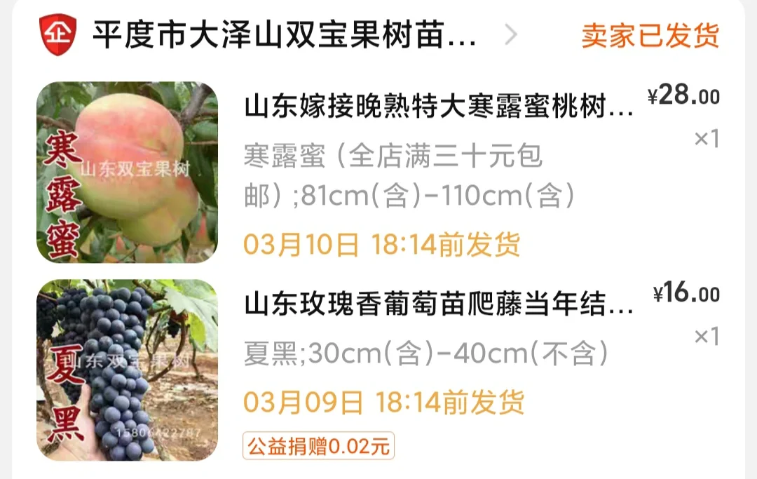 更新:桃花树，关于种树种菜，搜罗店铺记录
