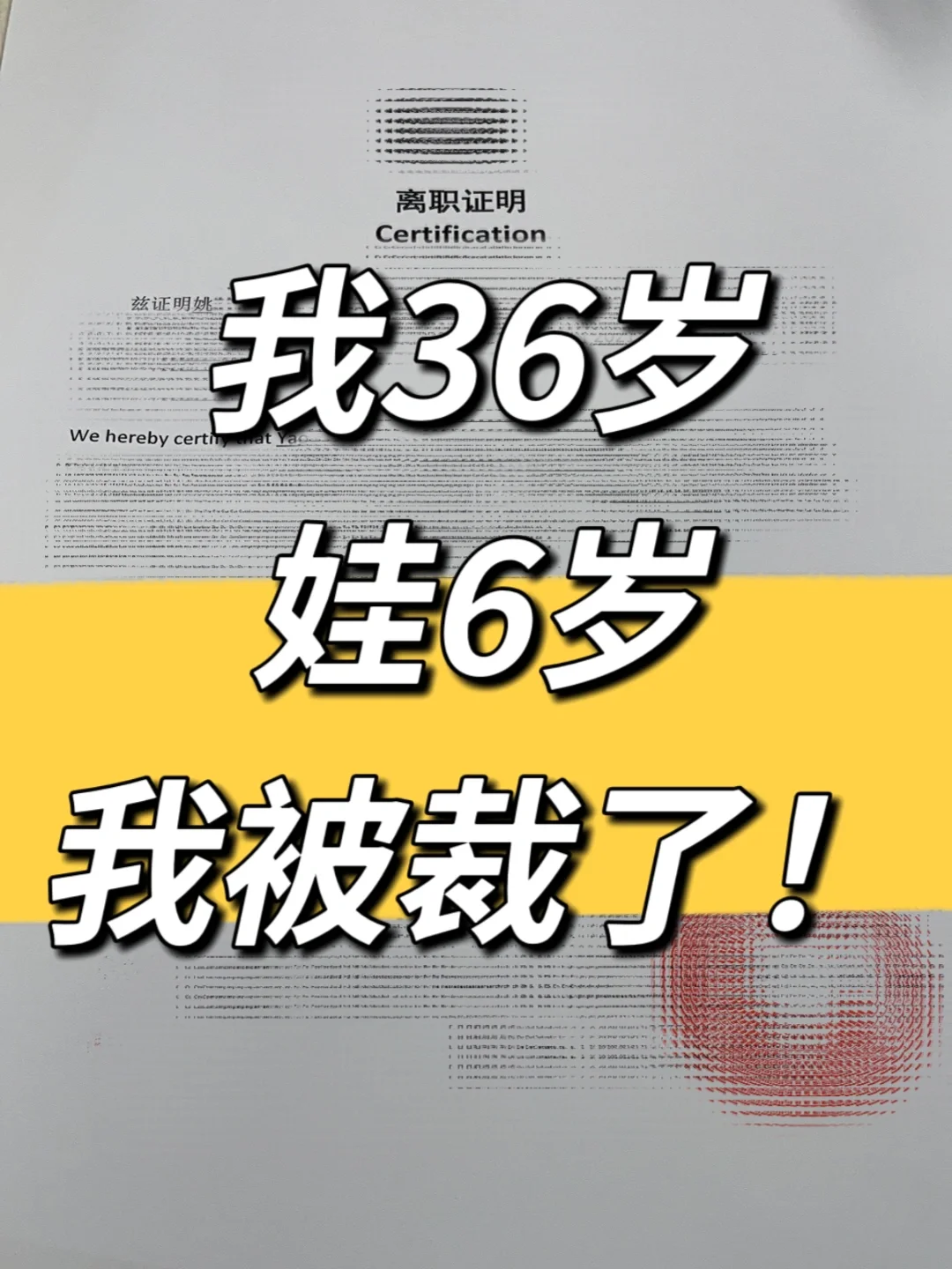再见了，13年的白领生活🥹#被裁重启ing