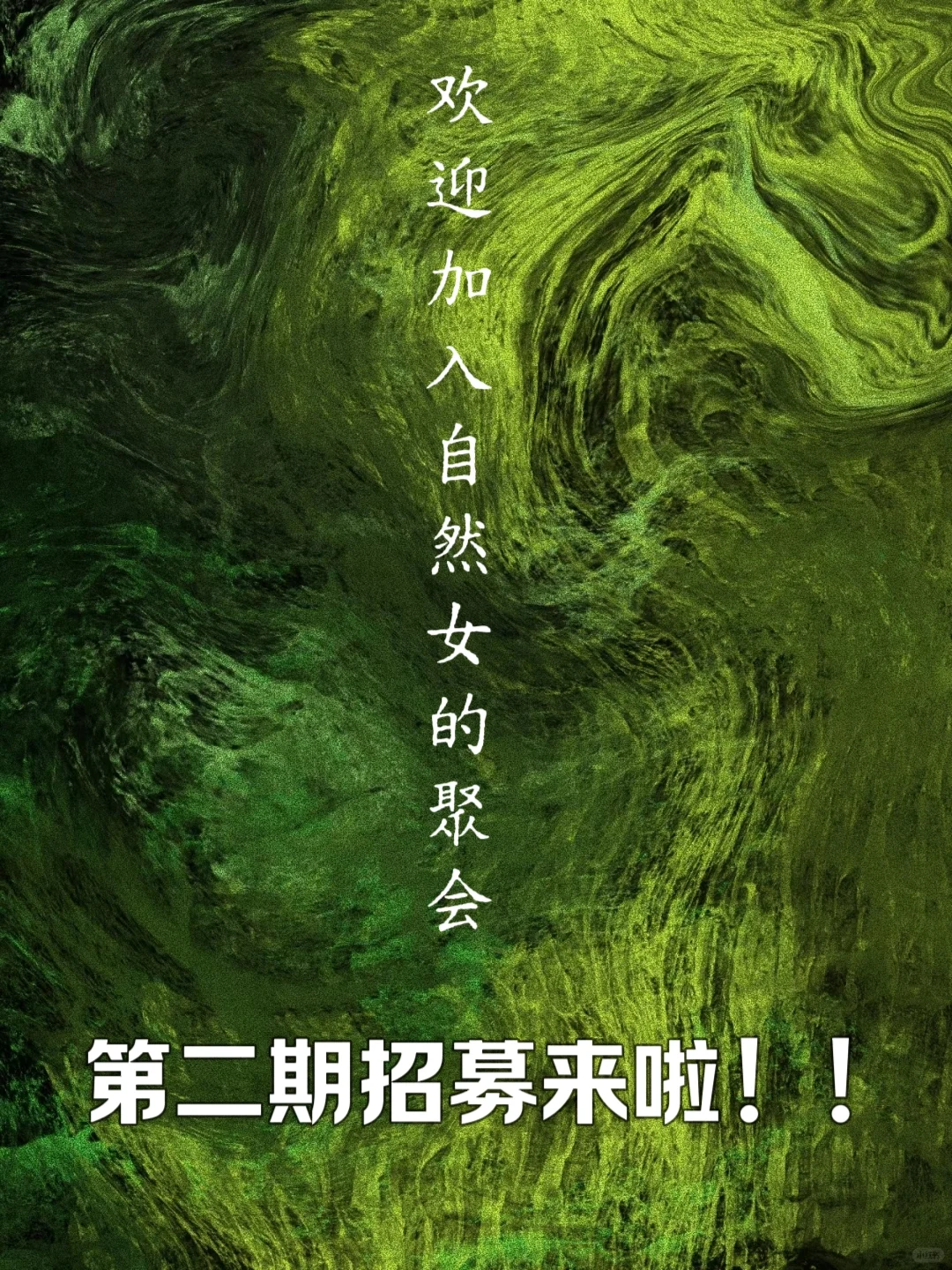 她综艺 – 自然女的聚会招人啦！