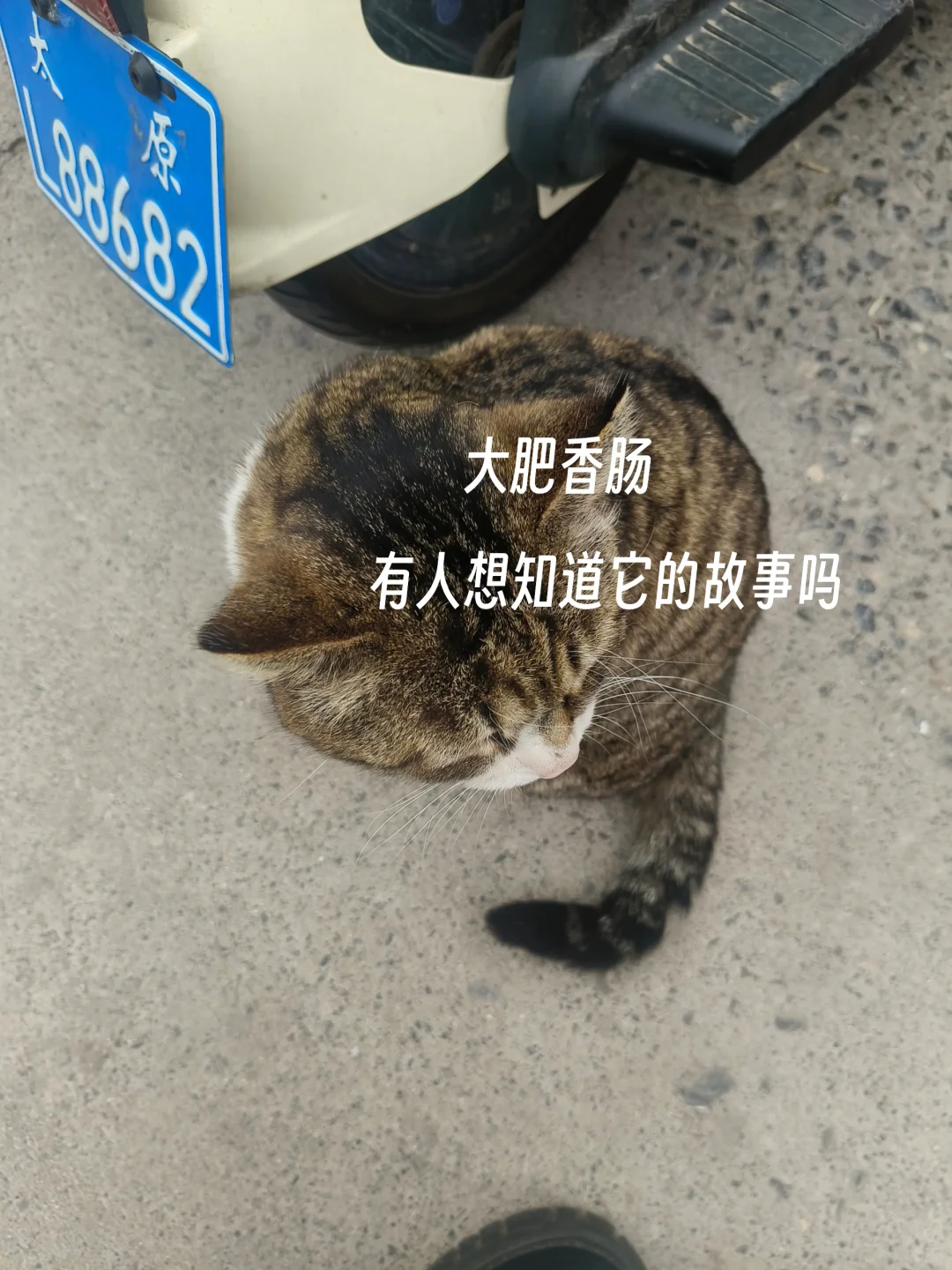 毕业前疯狂记录校园生活｜第十周啦