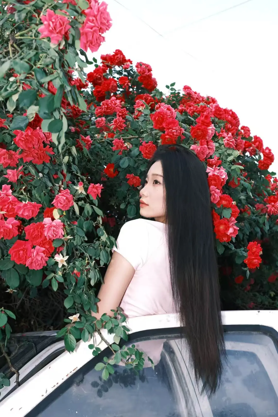 深圳互勉约拍｜花与人，都是绝美的