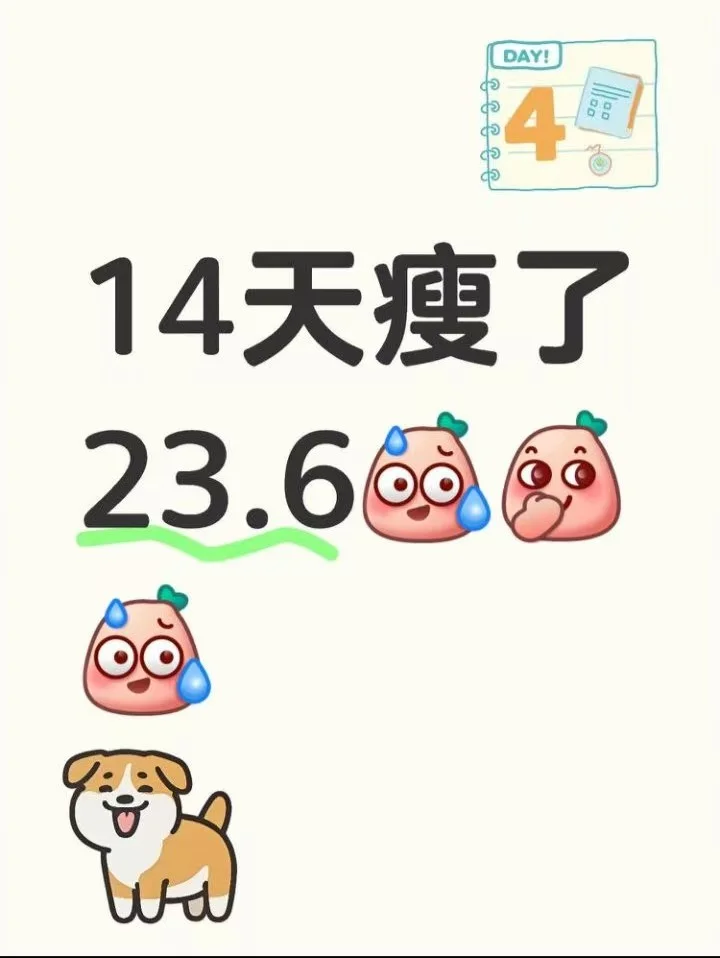 14天痩了23.6 附食谱