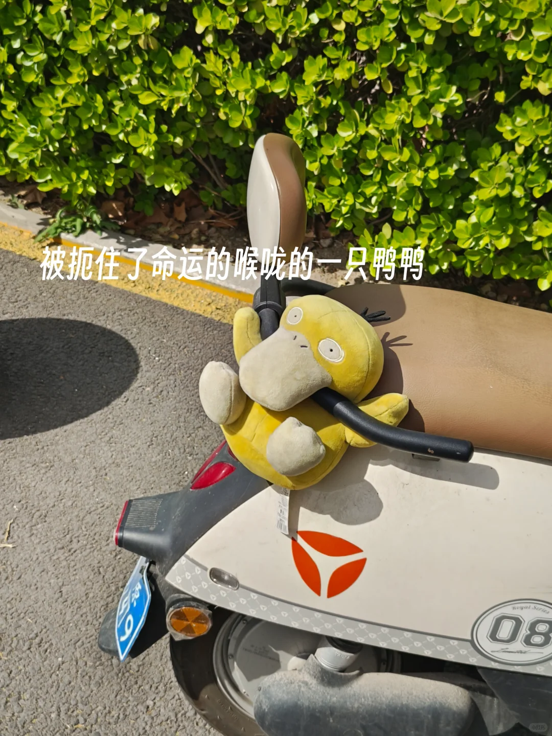 毕业前疯狂记录校园生活｜第十周啦