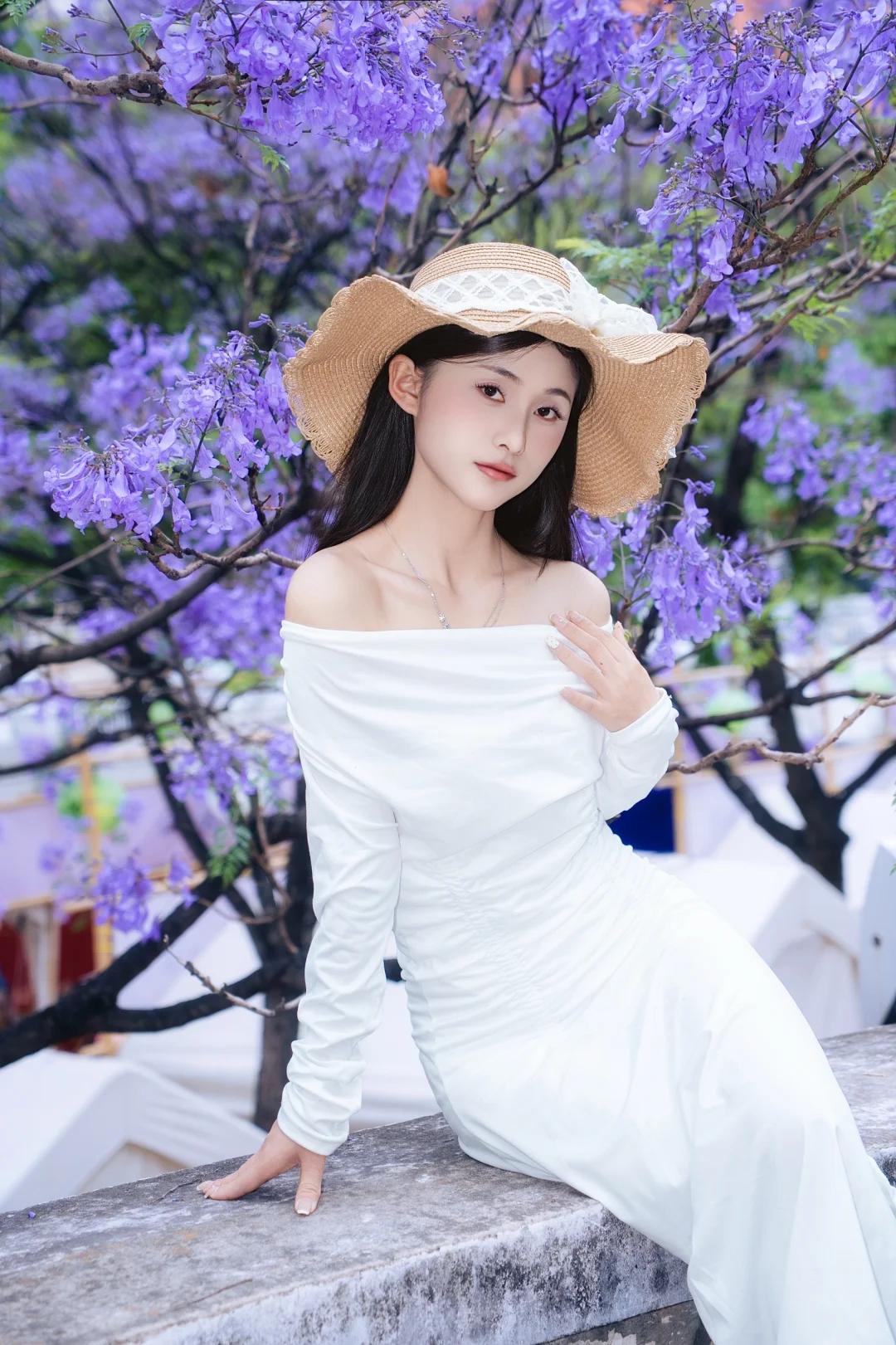 2025昆明蓝花楹美照新鲜出炉！