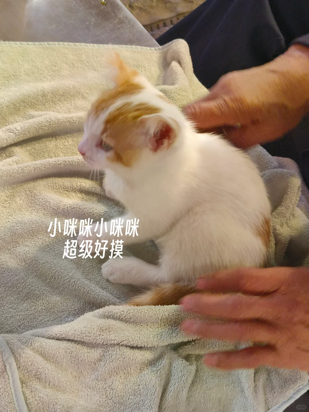 毕业前疯狂记录校园生活｜第十周啦