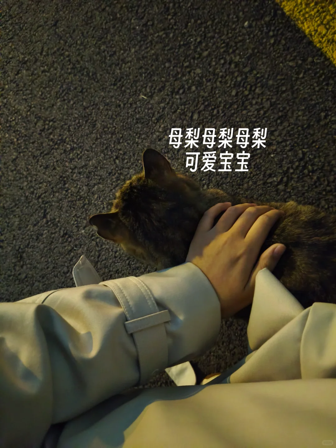 毕业前疯狂记录校园生活｜第十周啦