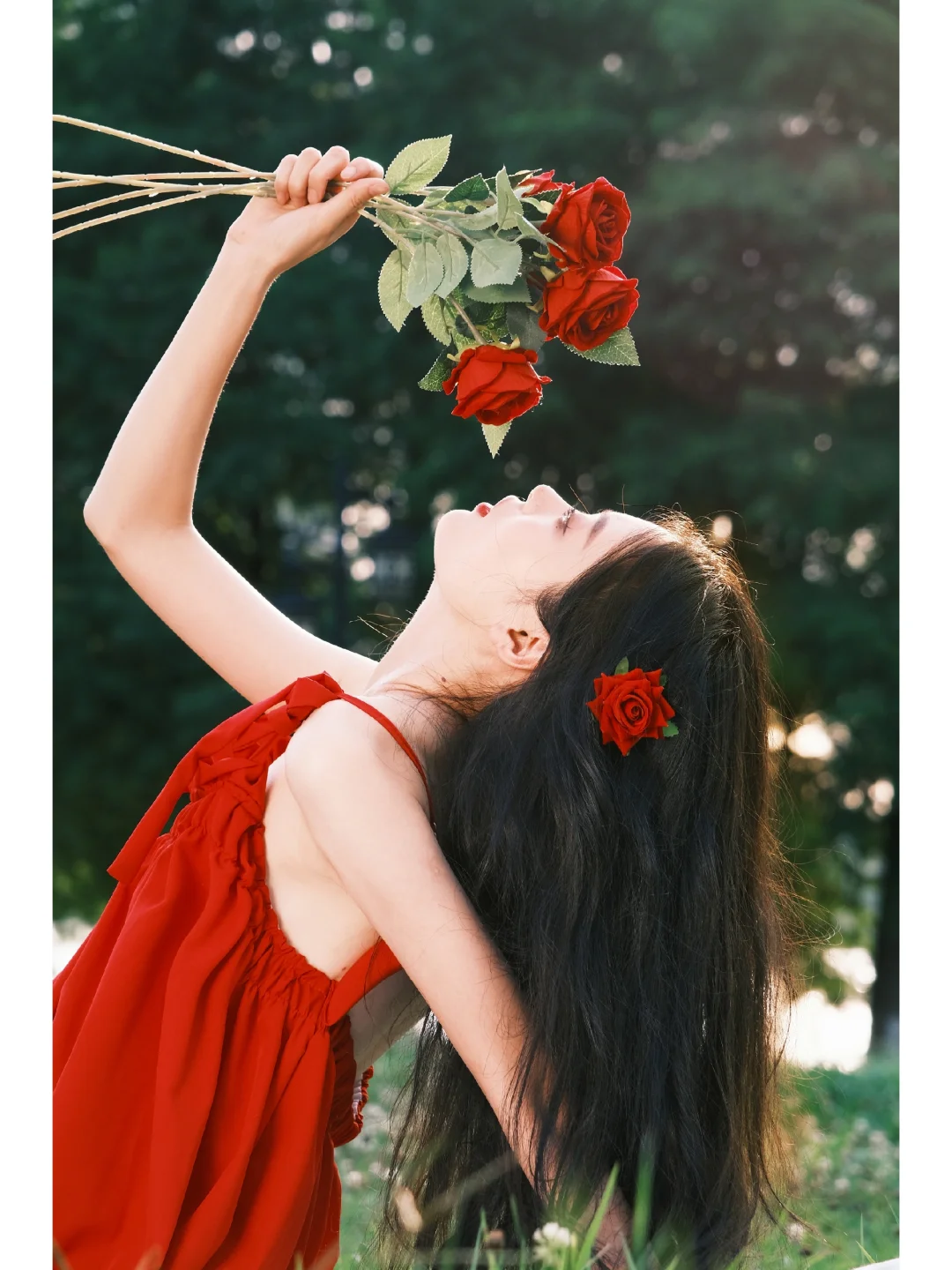 📷：玫瑰会永远绽放🌹