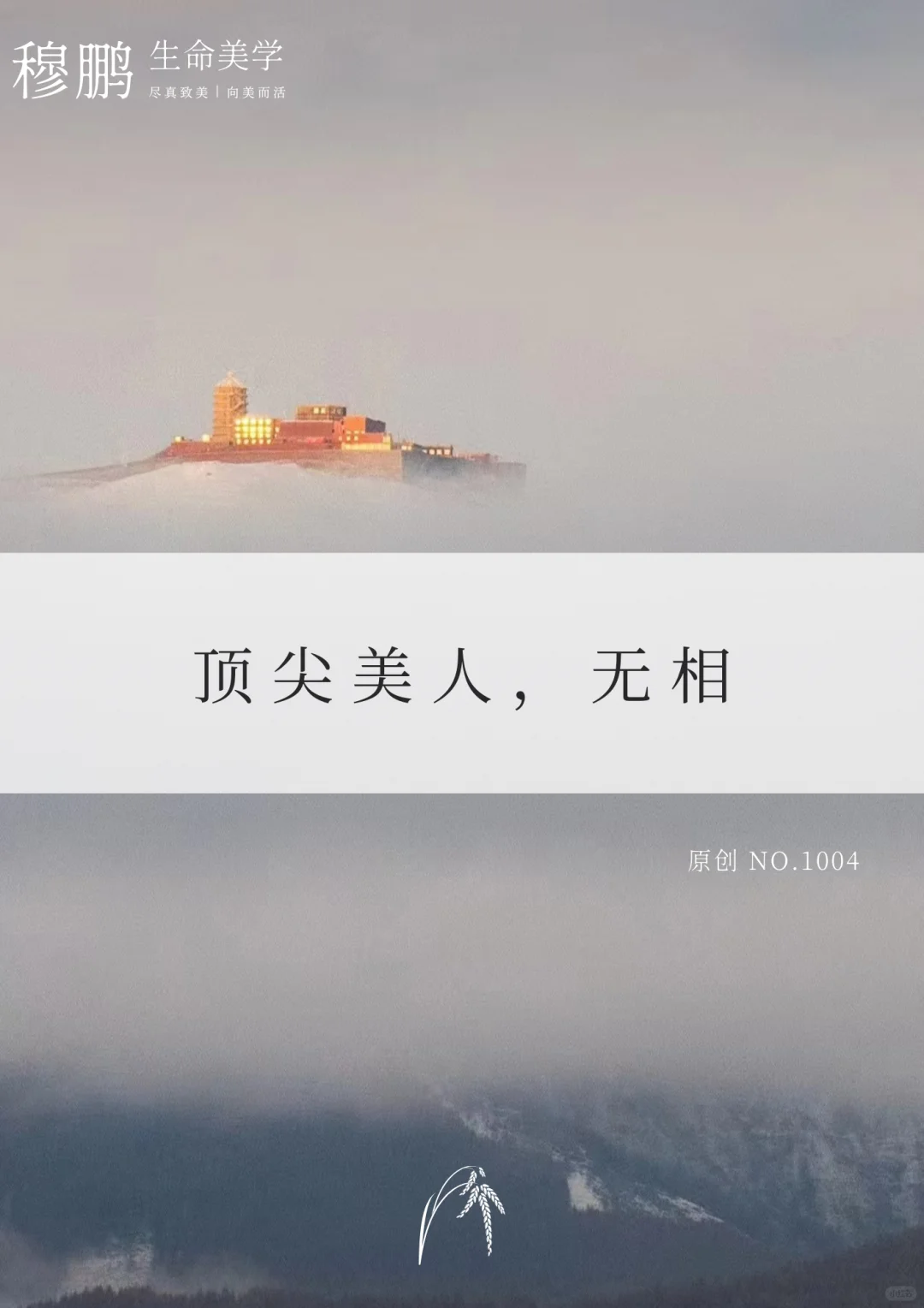 美人不住相，顶尖美人无相