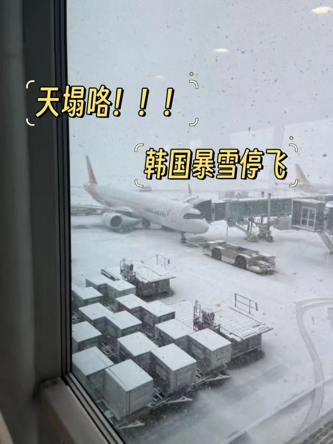天呐噜‼️‼️‼️暴雪停飞
