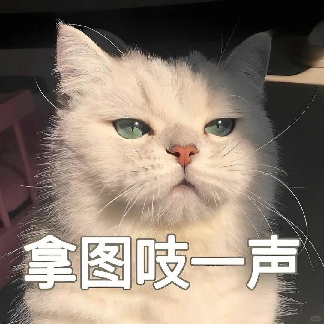 你会心动的优质女生头像💕