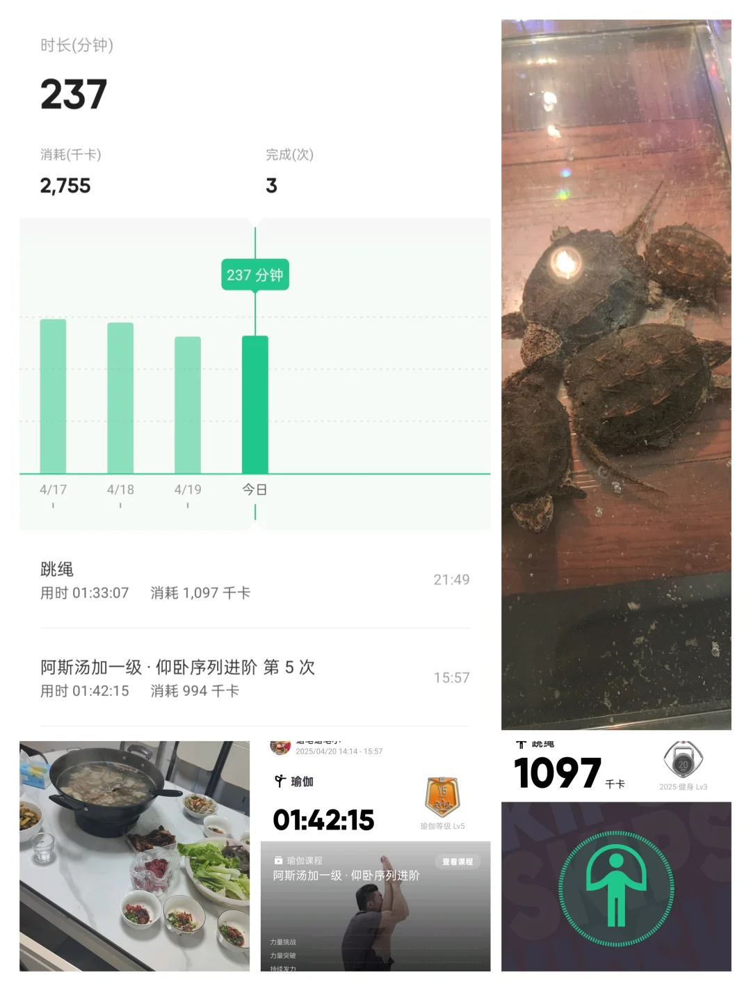 今日份训练完毕
