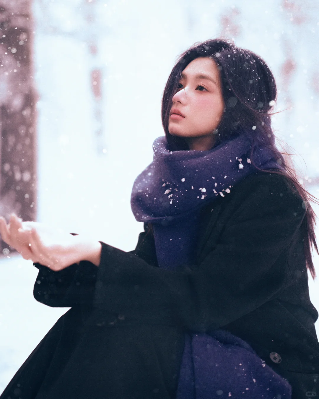 一组旧时爱日杂情书