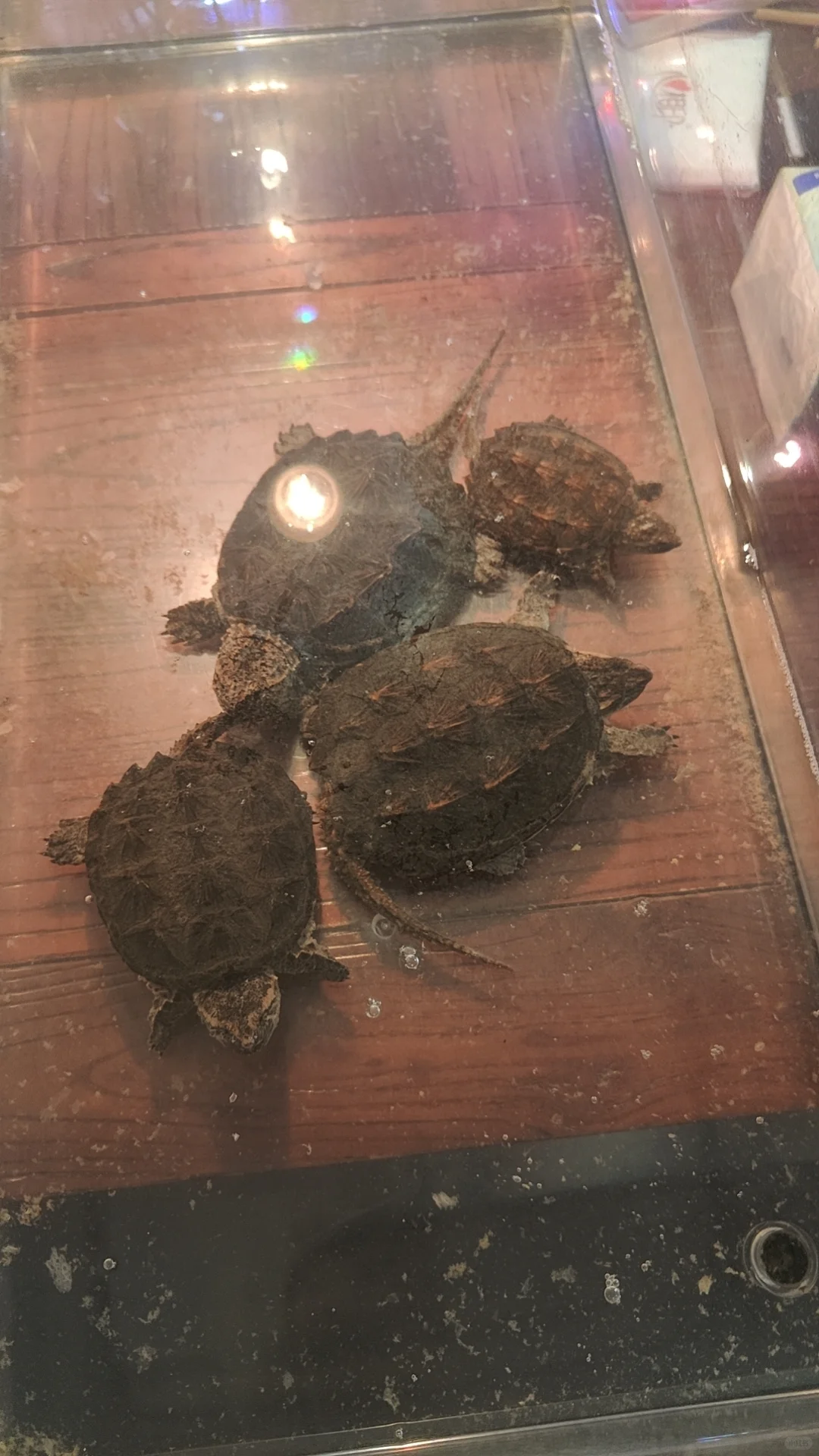 今日份训练完毕