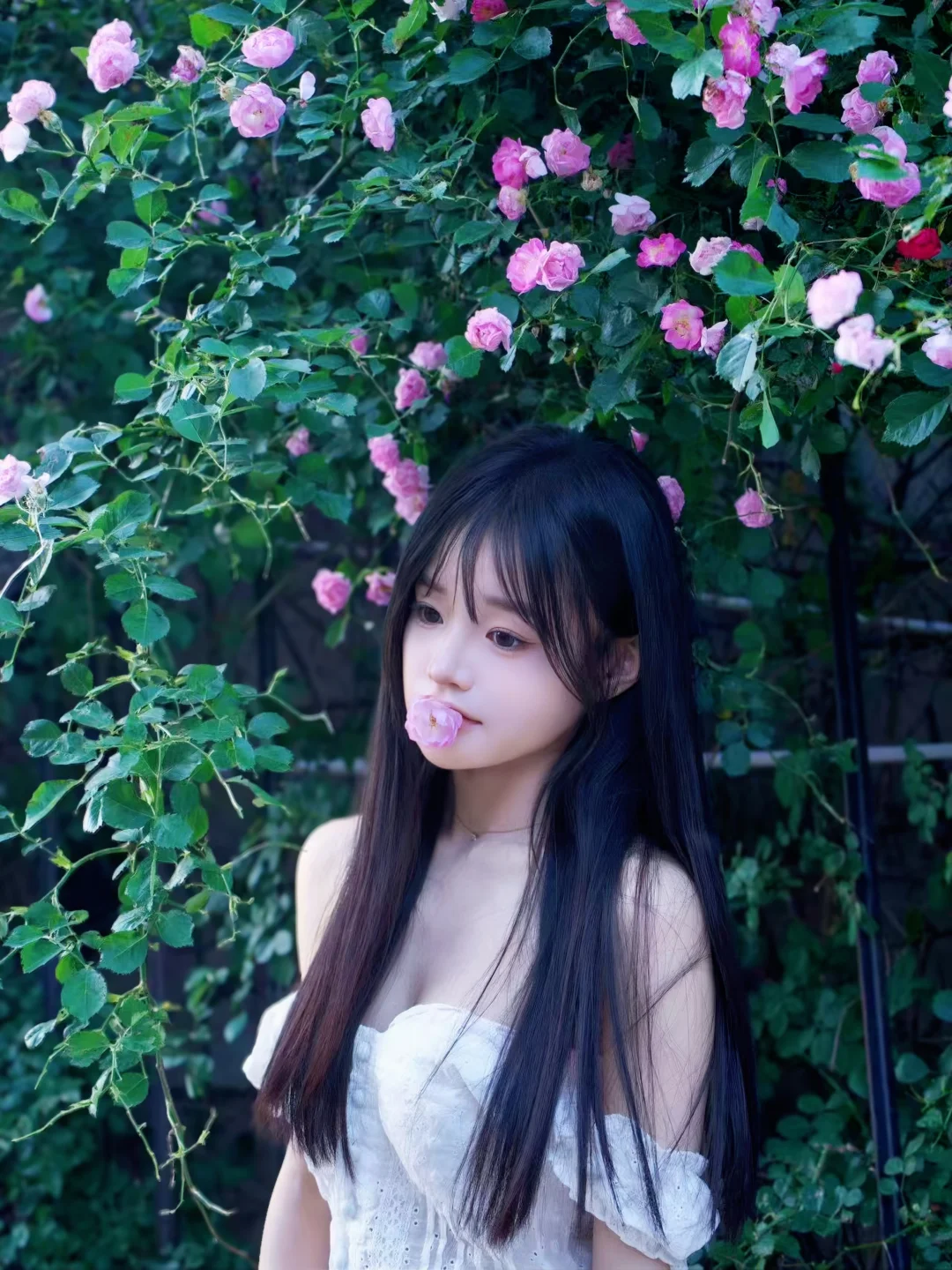 客片返图|是花是人，都浪漫到我心里