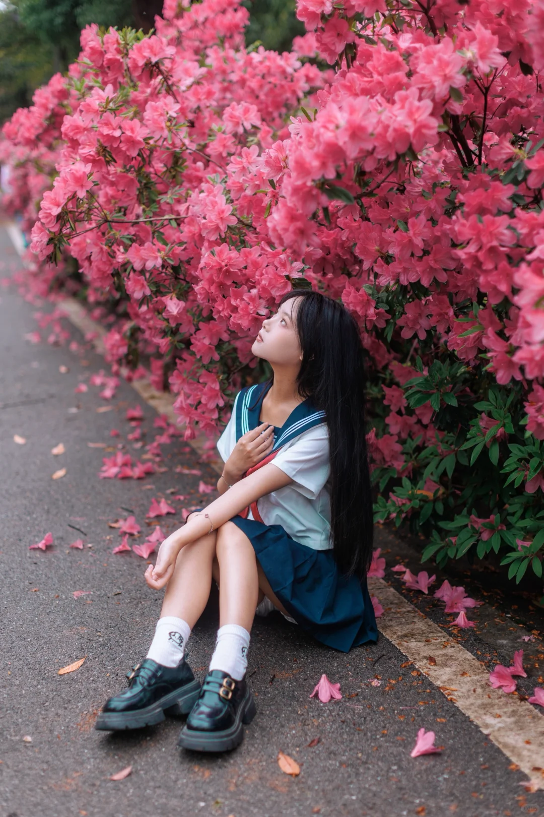 故事的小红花