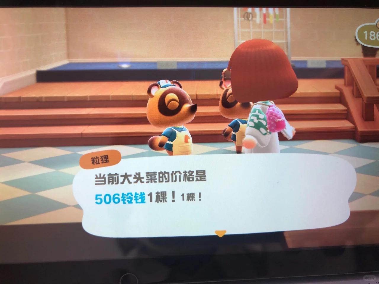 动物之森！506铃钱一颗！终于可以翻身啦