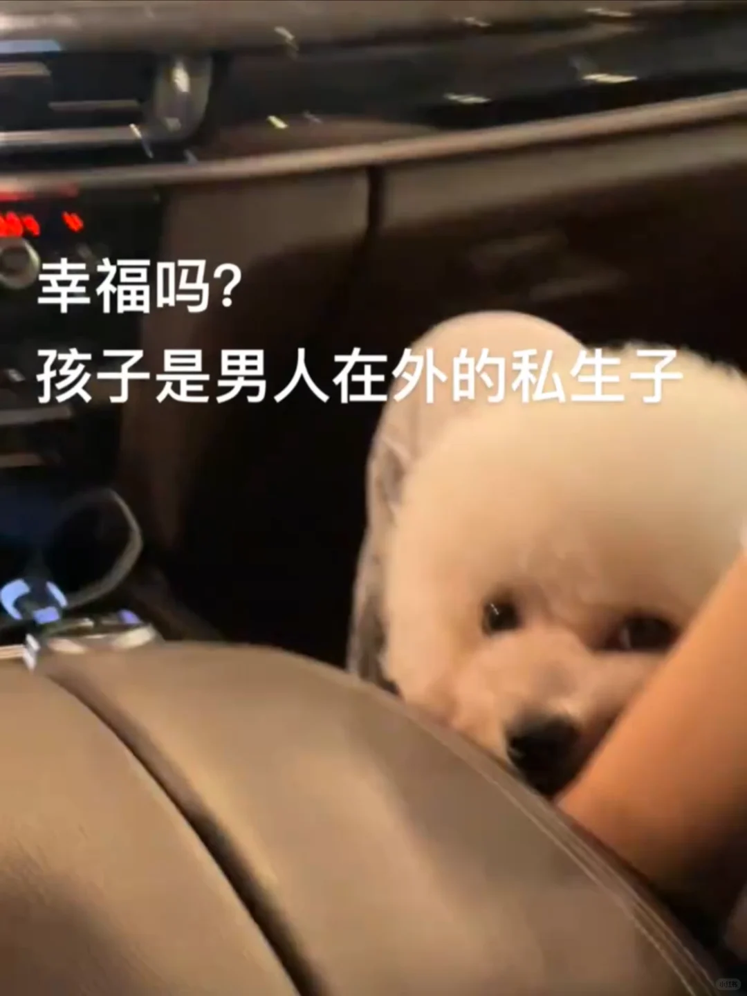 已婚无娃三年 被婆婆嫌弃了。