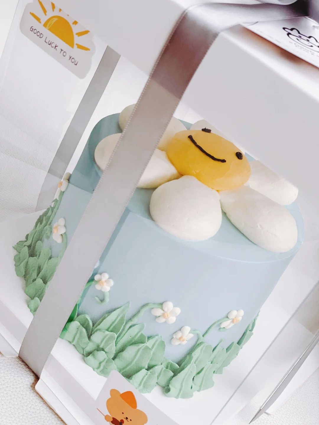 清新的太阳花